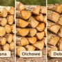 Drewno sosnowe, olchowe i dębowe Chełm